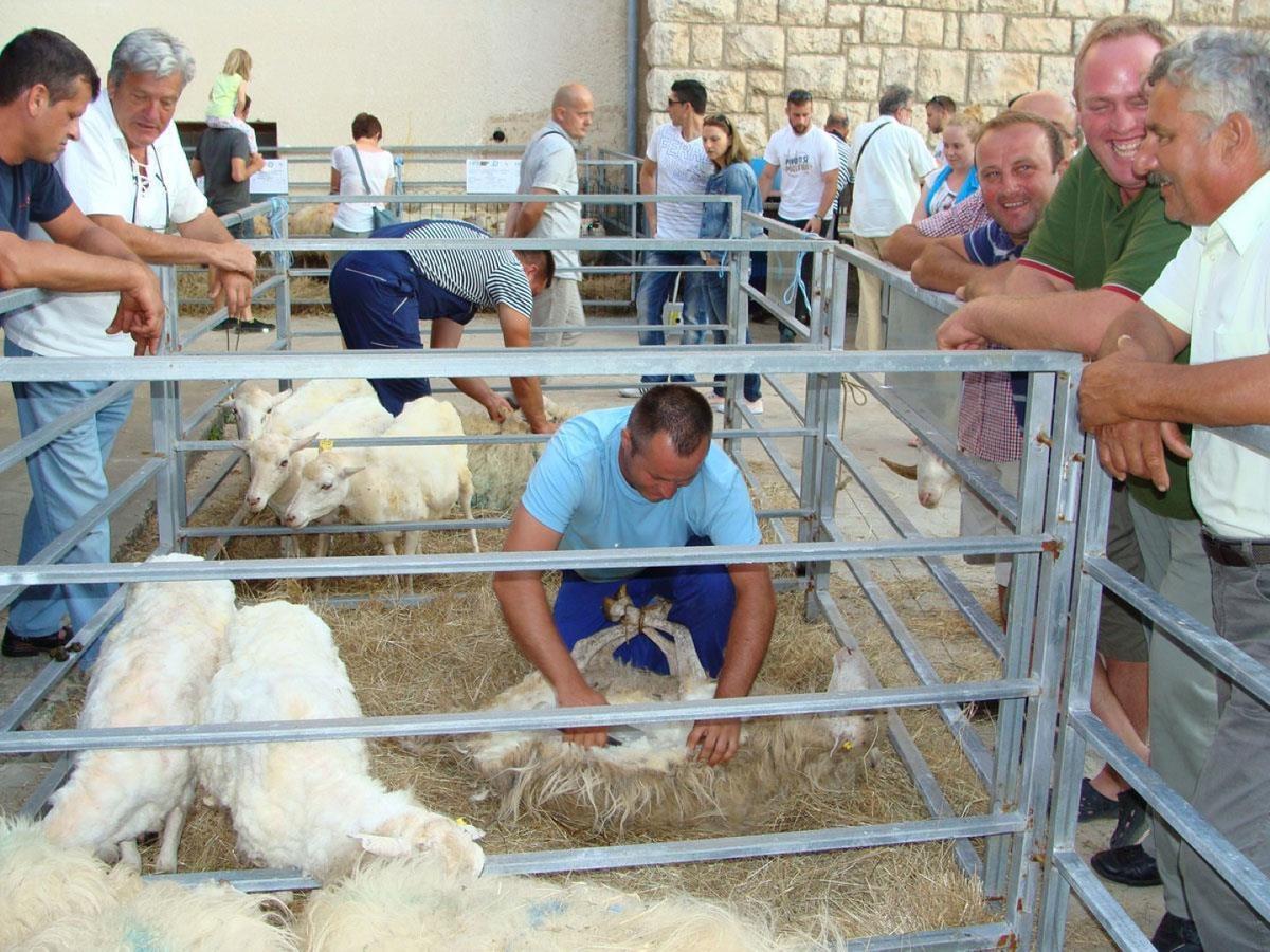 Adriatic Romance Baška Eksteriør billede